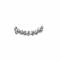 Reel Star grillz
